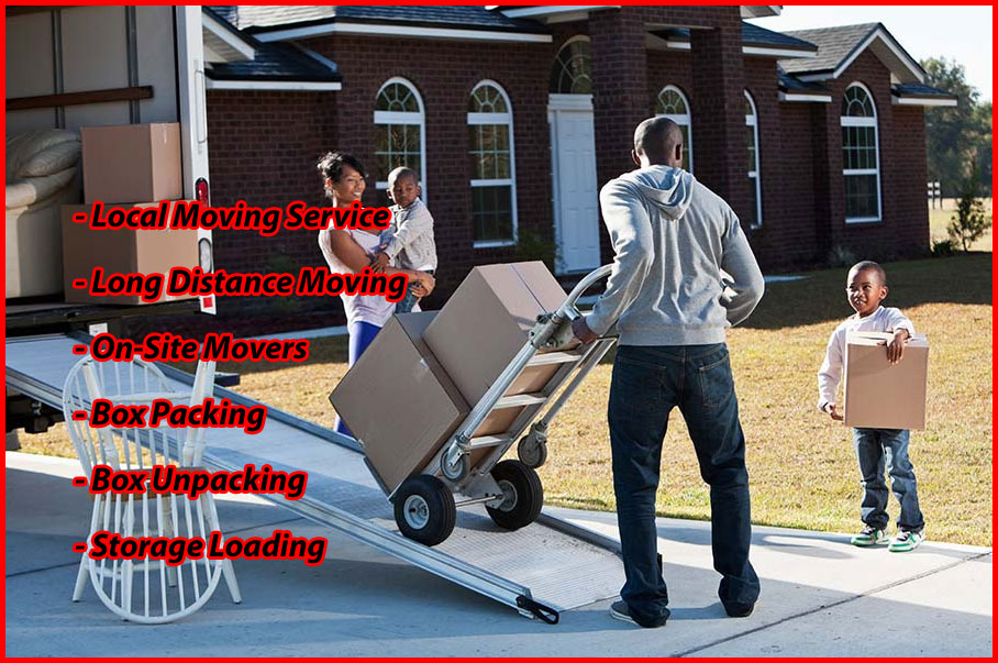 Packers And Movers Noida Sector 91